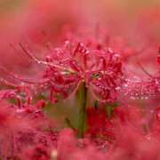 ヒメ日記 2025/09/14 21:08 投稿 まどか モアグループ熊谷人妻花壇