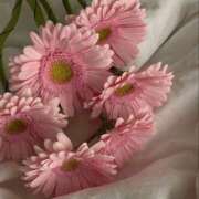 ヒメ日記 2025/10/17 00:20 投稿 まどか モアグループ熊谷人妻花壇