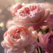 ヒメ日記 2025/10/17 03:11 投稿 まどか モアグループ熊谷人妻花壇