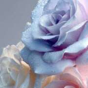 ヒメ日記 2025/10/18 18:44 投稿 まどか モアグループ熊谷人妻花壇