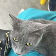 ヒメ日記 2025/10/19 20:13 投稿 まどか モアグループ熊谷人妻花壇