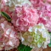 ヒメ日記 2025/10/21 15:38 投稿 まどか モアグループ熊谷人妻花壇