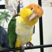 ヒメ日記 2025/10/26 19:22 投稿 まどか モアグループ熊谷人妻花壇