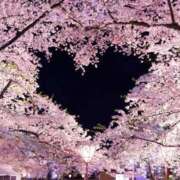 ヒメ日記 2025/03/31 22:02 投稿 ゆか 桜フェアリーテイル