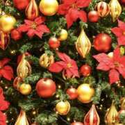 ヒメ日記 2025/12/01 12:30 投稿 ゆか 桜フェアリーテイル