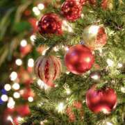 ゆか お礼♡ 桜フェアリーテイル