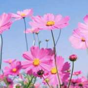 ヒメ日記 2026/10/02 08:37 投稿 ゆか 桜フェアリーテイル