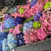 ヒメ日記 2025/06/11 15:30 投稿 雨音しずく Guilty concept A