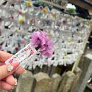 ヒメ日記 2025/06/11 20:30 投稿 雨音しずく Guilty concept A