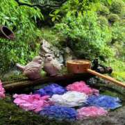 ヒメ日記 2025/06/14 09:00 投稿 雨音しずく Guilty concept A