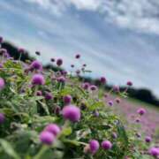 ヒメ日記 2025/09/25 13:42 投稿 雨音しずく Guilty concept A