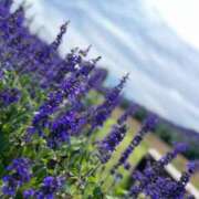 ヒメ日記 2025/09/27 08:01 投稿 雨音しずく Guilty concept A