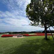 ヒメ日記 2025/09/27 09:01 投稿 雨音しずく Guilty concept A