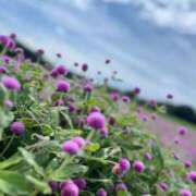 ヒメ日記 2025/09/30 13:30 投稿 雨音しずく Guilty concept A