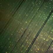 ヒメ日記 2025/10/17 20:07 投稿 雨音しずく Guilty concept A