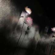 ヒメ日記 2025/10/21 19:01 投稿 雨音しずく Guilty concept A