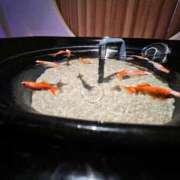 ヒメ日記 2025/10/30 10:00 投稿 雨音しずく Guilty concept A