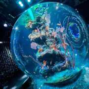 ヒメ日記 2025/10/30 15:00 投稿 雨音しずく Guilty concept A