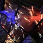 ヒメ日記 2025/10/31 10:01 投稿 雨音しずく Guilty concept A