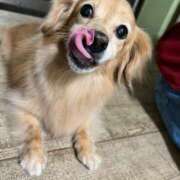 ヒメ日記 2025/11/09 14:24 投稿 雨音しずく Guilty concept A