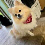 ヒメ日記 2025/11/12 14:19 投稿 雨音しずく Guilty concept A