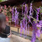 ヒメ日記 2026/05/04 09:02 投稿 雨音しずく Guilty concept A