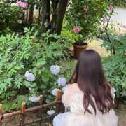ヒメ日記 2026/07/05 18:03 投稿 雨音しずく Guilty concept A