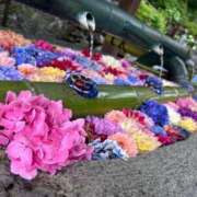 ヒメ日記 2026/07/07 06:01 投稿 雨音しずく Guilty concept A