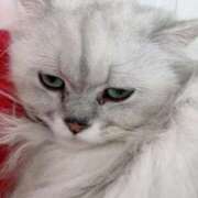 ヒメ日記 2025/05/02 09:45 投稿 ふうか♡ ゆるふわ癒し系！！ if(イフ) 中村店