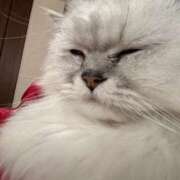 ヒメ日記 2025/06/06 10:05 投稿 ふうか♡ ゆるふわ癒し系！！ if(イフ) 中村店