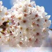 ヒメ日記 2025/04/09 02:12 投稿 るか ぱい LOVE YOU