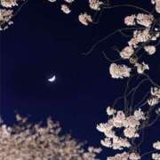 ヒメ日記 2025/04/13 02:03 投稿 るか ぱい LOVE YOU