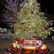 ヒメ日記 2025/12/11 19:51 投稿 るか ぱい LOVE YOU