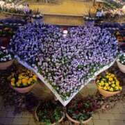 ヒメ日記 2025/12/12 01:06 投稿 るか ぱい LOVE YOU