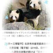 ヒメ日記 2025/12/17 16:18 投稿 るか ぱい LOVE YOU