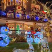 ヒメ日記 2025/12/22 00:42 投稿 るか ぱい LOVE YOU