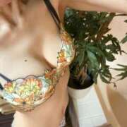 ヒメ日記 2025/03/20 17:21 投稿 ゆずりは SUZUME