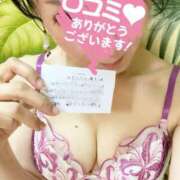 ヒメ日記 2025/03/21 17:02 投稿 ゆずりは SUZUME