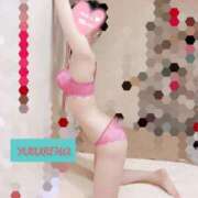 ヒメ日記 2025/03/25 22:06 投稿 ゆずりは SUZUME