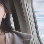 ヒメ日記 2025/03/27 15:47 投稿 ゆずりは SUZUME