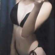 ヒメ日記 2025/03/29 16:20 投稿 ゆずりは SUZUME