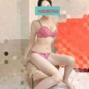 ヒメ日記 2025/03/30 15:10 投稿 ゆずりは SUZUME