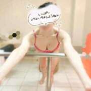 ヒメ日記 2025/03/31 16:20 投稿 ゆずりは SUZUME