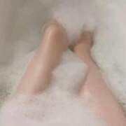 ヒメ日記 2025/03/31 23:29 投稿 ゆずりは SUZUME