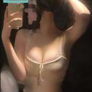 ヒメ日記 2025/04/02 02:19 投稿 ゆずりは SUZUME