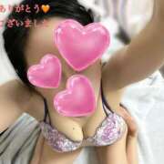 ヒメ日記 2025/04/07 17:20 投稿 ゆずりは SUZUME