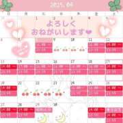 ヒメ日記 2025/04/08 14:30 投稿 ゆずりは SUZUME