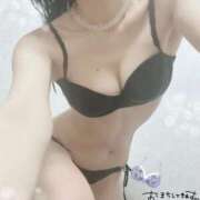 ヒメ日記 2025/04/14 18:20 投稿 ゆずりは SUZUME