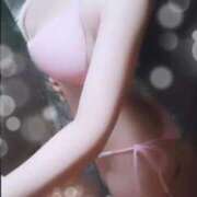 ヒメ日記 2025/04/22 16:50 投稿 ゆずりは SUZUME