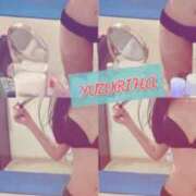 ヒメ日記 2025/05/01 11:30 投稿 ゆずりは SUZUME